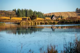 4026 Union Lake Trail, Forest Township, MN 55057 - Photo 70