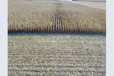 Tbd 708th Avenue, Emmons, MN 56029 - Photo 10