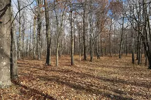 25690 Groningen Rd, Sandstone, MN 55072 - Photo 50