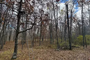 25690 Groningen Rd, Sandstone, MN 55072 - Photo 52