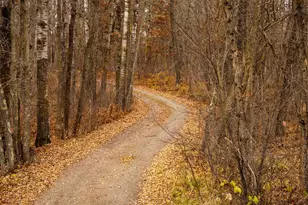 20133 Roundview Rd, Pierz, MN 56364 - Photo 20