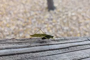 13960 Paris Ave N, Stillwater, MN 55082 - Photo 94