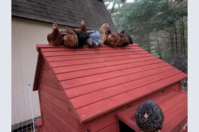 13960 Paris Avenue N, Stillwater, MN 55082 - Photo 92