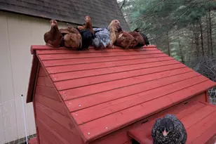 13960 Paris Ave N, Stillwater, MN 55082 - Photo 92