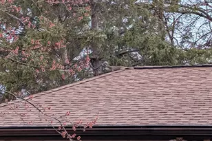 13960 Paris Ave N, Stillwater, MN 55082 - Photo 86