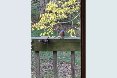 13960 Paris Avenue N, Stillwater, MN 55082 - Photo 76