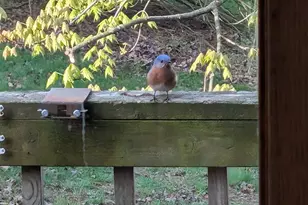 13960 Paris Ave N, Stillwater, MN 55082 - Photo 76