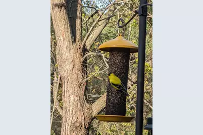 13960 Paris Avenue N, Stillwater, MN 55082 - Photo 78