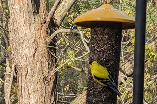 13960 Paris Ave N, Stillwater, MN 55082 - Photo 78