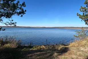 34307 Basswood Lake Rd, Ponsford, MN 56575 - Photo 8