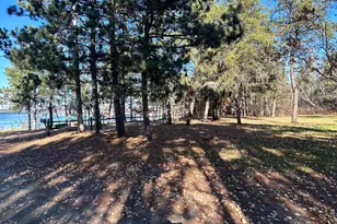 34307 Basswood Lake Rd, Ponsford, MN 56575 - Photo 34