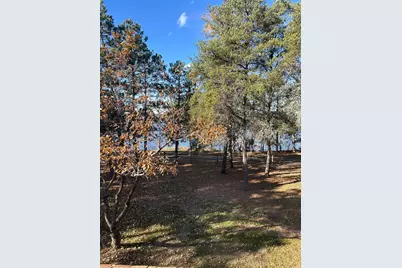 34307 Basswood Lake Road, Ponsford, MN 56575 - Photo 40