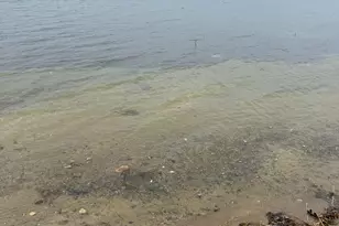 34307 Basswood Lake Rd, Ponsford, MN 56575 - Photo 72