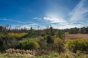 640 Orchard Park Rd, Long Lake, MN 55356 - Photo 62