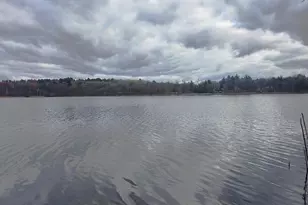 28503 Ottawa Dr, Browerville, MN 56438 - Photo 14