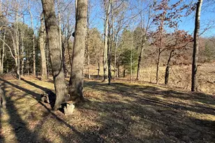 24779 Larrabee Subdivision Rd, Webster, WI 54893 - Photo 44