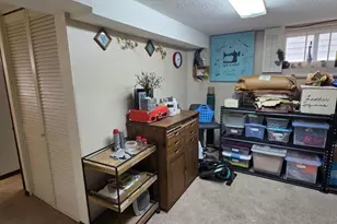 78665 County Rd 46, Albert Lea Twp, MN 56007 - Photo 58