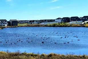 2045 Tamarack Rd, Carver, MN 55315 - Photo 46