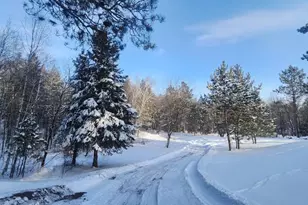 47011 Niemi Dr, Osage Township, MN 56570 - Photo 2