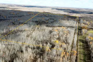 58450 Korstad Road NW, Grygla, MN 56727 - Photo 1