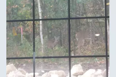 2563 Clubhouse Drive, Lake City, MN 55041 - Photo 66