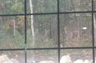 2563 Clubhouse Dr, Lake City, MN 55041 - Photo 66