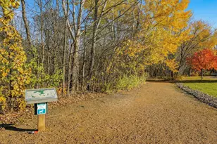 3967 Wild Meadows Dr, Hamel, MN 55340 - Photo 134