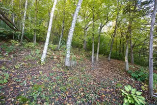 1580 E Division St, River Falls, WI 54022 - Photo 30