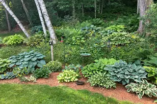 1580 E Division St, River Falls, WI 54022 - Photo 38