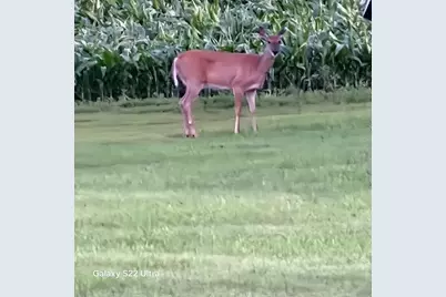 755 240th Avenue SW, Appleton, MN 56208 - Photo 40