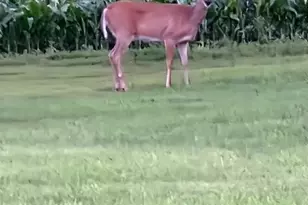 755 240th Ave SW, Appleton, MN 56208 - Photo 40