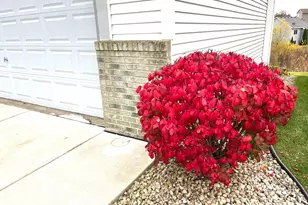 6659 Lipizzan Trail, Forest Lake, MN 55025 - Photo 36