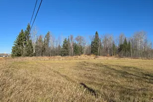 3111 Hwy 332, International Falls, MN 56649 - Photo 6