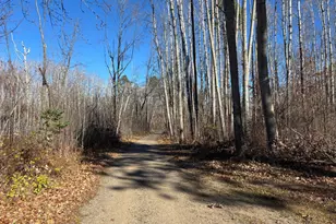 18043 476th Ln, McGregor, MN 55760 - Photo 20
