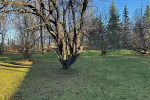 270 Zippel Ave, Williams, MN 56686 - Photo 22