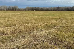 Tbd** 54th Ave SW, Pine River, MN 56474 - Photo 1