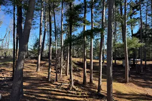 12745 Ecton Trail, Bagley, MN 56621 - Photo 24