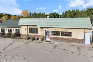 2667 Hwy 70, Babbitt, MN 55706 - Photo 1