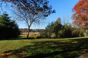 8175 Diane St, Circle Pines, MN 55014 - Photo 30