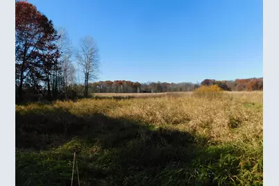 8175 Diane Street, Circle Pines, MN 55014 - Photo 34