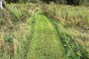 10038 Co Rd 8, Brainerd, MN 56401 - Photo 6