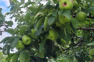 5424 51st Ave N, Crystal, MN 55429 - Photo 36