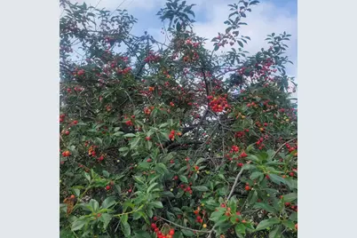 5424 51st Avenue N, Crystal, MN 55429 - Photo 38