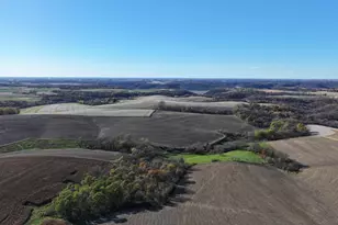 Tbd Prairie Ridge Rd, Caledonia, MN 55921 - Photo 1