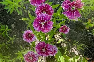 13869 Hardy Lake Rd SW, Pillager, MN 56473 - Photo 42