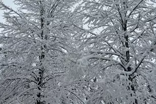 13869 Hardy Lake Rd SW, Pillager, MN 56473 - Photo 54