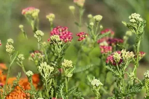 13869 Hardy Lake Rd SW, Pillager, MN 56473 - Photo 58