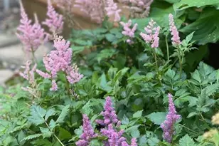 13869 Hardy Lake Rd SW, Pillager, MN 56473 - Photo 62