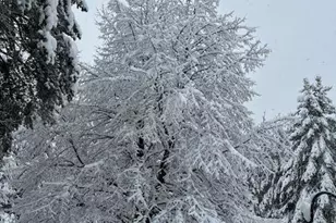 13869 Hardy Lake Rd SW, Pillager, MN 56473 - Photo 52