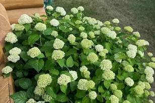 13869 Hardy Lake Rd SW, Pillager, MN 56473 - Photo 48